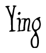 The image is of the word Ying stylized in a cursive script.