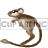 an animatated brown kangaroo mouse hopping away