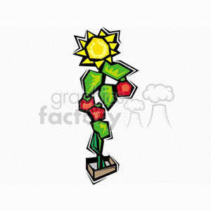 This is a stylized clipart image featuring a plant that has a sunflower as its top bloom and tomatoes growing directly below it on vine-like stems. The sunflower is represented as a large, shining yellow bloom with a central core and pointed petals radiating from the center. The tomato vine appears to have several leaves and multiple tomatoes hanging from it, showing the assets of a healthy plant. The entire plant is depicted in a simplified and colorful style, common to clipart, with bold outlines and flat colors.