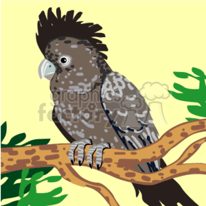 The picture shows a grey bird perched on a tree branch. The branch it is sitting on is dark and has a few small leaves. The background of the image is light in color