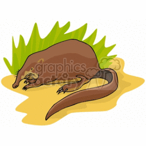 The clipart image features a cartoon of a brown aardvark with a long tail, crouching on the ground. There is some green foliage in the background that suggests the aardvark might be in a grassy environment.