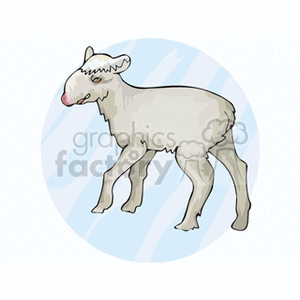 The clipart image depicts a cartoon representation of a young sheep, commonly referred to as a lamb. The lamb is standing, with a fluffy appearance commonly associated with innocence and gentleness. The image might be used in themes related to Easter, springtime, or to represent animals, particularly farm animals.