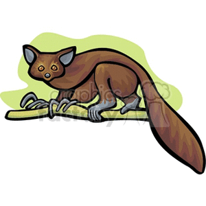 The clipart image depicts an illustration of an aye-aye, which is a type of lemur. The animal is shown with large eyes, elongated fingers, and a bushy tail, features that are characteristic of the species.