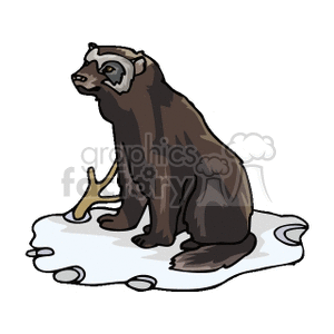 The clipart image shows a stylized illustration of a brown bear sitting on a patch of snow. The bear has a notable white muzzle and dark eyes, and it appears to be looking off to the side with a curious or attentive expression.