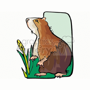The image is a clipart illustration of a brown and white cavy, which is a type of rodent often known as a guinea pig. The cavy is depicted sitting upright on a patch of green grass, with a few plants or flower stalks to one side. The animal has a furry coat and looks attentive, with its head raised as if it is looking at something above.