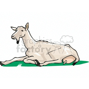The clipart image shows a white billy goat with horns lying down on a green surface, likely grass, and appears to be resting.