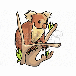 The clipart image depicts a stylized koala bear climbing a tree branch, which is often associated with the animal's native habitat in Australia. The koala is shown with distinctive features such as large ears and a rounded nose.