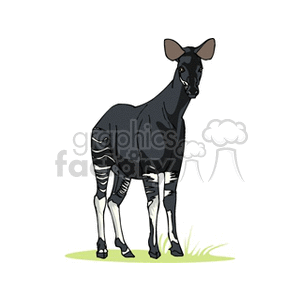 The image is a clipart of an okapi, a mammal with a long neck, characterized by its dark coat and distinctive white-and-black striped patterns on its hindquarters and legs. The okapi is standing on a small patch of grass.