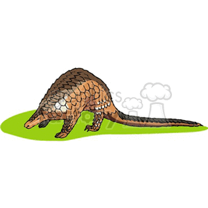 The clipart image shows an animal that closely resembles an anteater with its elongated snout and long tail, commonly associated with anteaters. It has a textured skin that might lead some to confuse it with an armadillo. However, armadillos have a more distinct armored shell. The coloration and body shape suggest it's an anteater, not an aardvark or armadillo.
