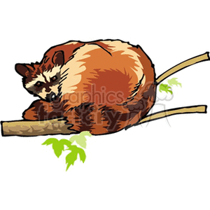 The image is a clipart of a raccoon sitting on a tree branch. The raccoon has the characteristic striped tail and a mask-like pattern around its eyes. It appears to be resting or taking a break.