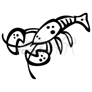 This image shows a cartoon lobster, with long feelers out front and definitive lines on the tail and the edges
