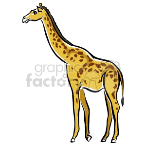 This clipart image depicts a single giraffe standing upright with a pattern of spots on its fur, which is characteristic of giraffes. It's a simplified and stylized representation, typical of clipart.