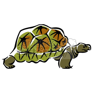 The clipart image depicts a stylized turtle. The turtle has a prominent shell with patterned markings, and its body and head are visible with simplified detailing. The overall style appears cartoonish, suitable for a range of casual or educational purposes where a representation of a turtle is needed.