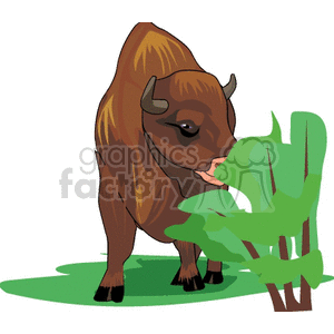 The clipart image displays a stylized illustration of a bison (sometimes colloquially referred to as a buffalo, although true buffaloes are different species found in Africa and Asia) calf. It is depicted with a brownish coat and horns, standing on a green surface, presumably grass, nibbling on some green foliage to its side.