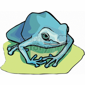 Forward facing blue frog