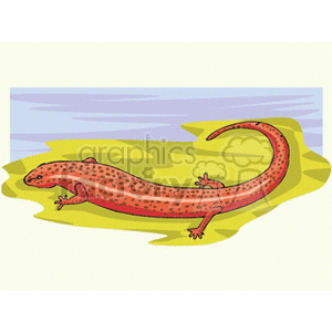 The image appears to be a clipart of a red salamander with spots resting on a green and yellow surface, which might be intended to suggest foliage or grass, with a light blue and white background that could represent the sky. The salamander is stylized and cartoonish in nature.