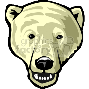 cartoon polar bear face showing teeth.  The bear is white in color, which is one of its distinctive features, as it helps them blend in with their snowy environment.