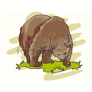 This clipart image features a stylized brown bear. The bear appears to be standing on all fours with its head lowered towards the ground, as if sniffing or exploring something on the greenery beneath it. The background is simple with soft yellow brushstrokes, giving a slight sense of the bear's environment without detailed scenery.
