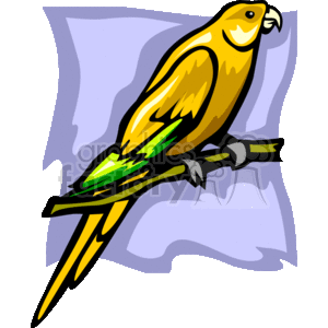 The clipart image depicts a stylized bird that resembles a parrot. The bird is primarily yellow with green wing and tail accents, and it is perched on a branch. The illustration is done in a simple graphic style common to clipart.