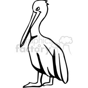 Black and white side profile of a pelican