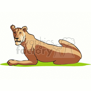 The clipart image features a cartoon of a lioness resting on a green surface. The lioness is depicted in a relaxed pose, looking off to the side.