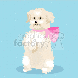 This is an image of a cartoon representation of a light-colored, fluffy poodle or maltipoo puppy with a pink bow. It appears to be in a sitting position against a light blue background.