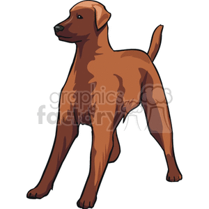 The clipart image depicts a brown dog in a standing position. The dog appears to be well-muscled with a smooth coat and is shown in profile view with its tail raised.