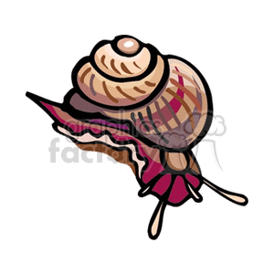 The image is a stylized illustration of a snail. It is characterized by the snail's iconic shell, which has a spiral design and appears to have bands of different colors, and the snail's soft body, with part of it extending out from the shell showing the head, eye stalks, and a foot.