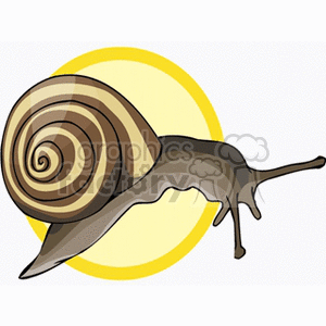 The clipart image depicts a stylized cartoon snail with a brown and tan spiraling shell, crawling against a yellow backdrop. There are no fish or multiple snails as the keywords might suggest; it's a single snail in the image.