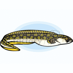 The clipart image shows a stylized representation of an eel, which is a type of elongated fish. The eel features a pattern of dark and light patches or spots along its body, with a lighter belly and fins at the end of its body.