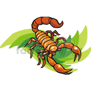 scorpion0001