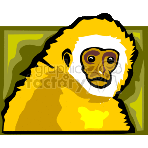 This is a clipart image of a Lar Gibbon, also known as a White-handed Gibbon. The image portrays the distinct facial features and characteristic fur color around the face of this species of gibbon