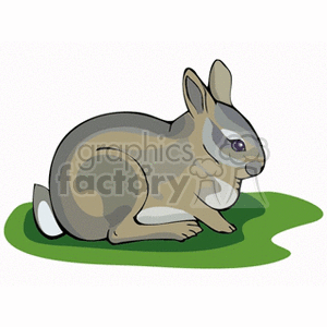 The clipart image depicts a grey rabbit sitting on a patch of green grass.