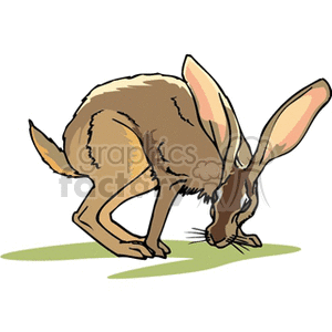 The clipart image depicts a single brown rabbit with prominent ears, facing to the left and appearing to be sniffing or foraging on the ground. The rabbit is situated on a simple green surface with a white background.
