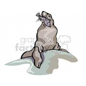 The image is a clipart illustration of a seal resting on an iceberg or rock above the water. The seal is depicted in shades of gray and appears to be animated in style, with simplified features and a playful character design.