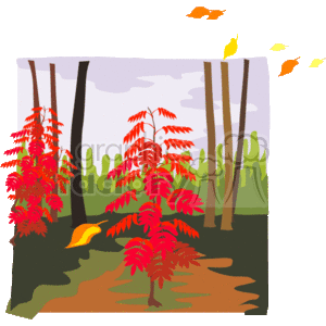 This clipart image depicts an autumn scene in a forest. It features several trees with slim trunks and a prominent plant in the foreground with bright red leaves, giving the impression of seasonal fall foliage. The ground is covered with a layer of fallen leaves, and there are green bushes or undergrowth in the background. Above, the sky appears to be overcast, and there are a few leaves falling through the air, accentuating the autumn feel.