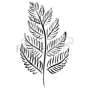 The image is a line drawing clipart of a fern leaf, depicted in a stylized manner with noticeable detail on the individual leaflets.