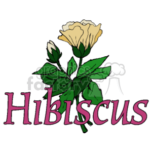 The clipart image depicts a stylized yellow hibiscus flower with green leaves and budding flowers. The word Hibiscus is written below the plant in decorative pink script.