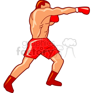 boxing203