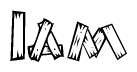 The clipart image shows the name Iam stylized to look like it is constructed out of separate wooden planks or boards, with each letter having wood grain and plank-like details.