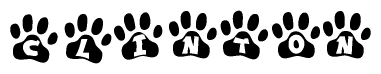 The image shows a series of animal paw prints arranged horizontally. Within each paw print, there's a letter; together they spell Clinton