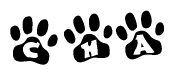The image shows a series of animal paw prints arranged in a horizontal line. Each paw print contains a letter, and together they spell out the word Cha.