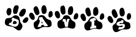 The image shows a series of animal paw prints arranged in a horizontal line. Each paw print contains a letter, and together they spell out the word Davis.