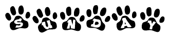The image shows a series of animal paw prints arranged in a horizontal line. Each paw print contains a letter, and together they spell out the word Sunday.
