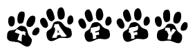 The image shows a series of animal paw prints arranged horizontally. Within each paw print, there's a letter; together they spell Taffy