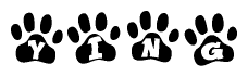 The image shows a series of animal paw prints arranged in a horizontal line. Each paw print contains a letter, and together they spell out the word Ying.