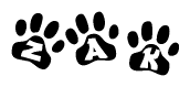 The image shows a series of animal paw prints arranged in a horizontal line. Each paw print contains a letter, and together they spell out the word Zak.