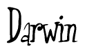 The image contains the word 'Darwin' written in a cursive, stylized font.