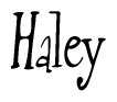 The image is a stylized text or script that reads 'Haley' in a cursive or calligraphic font.