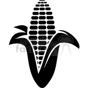 Black and white corn on the cob